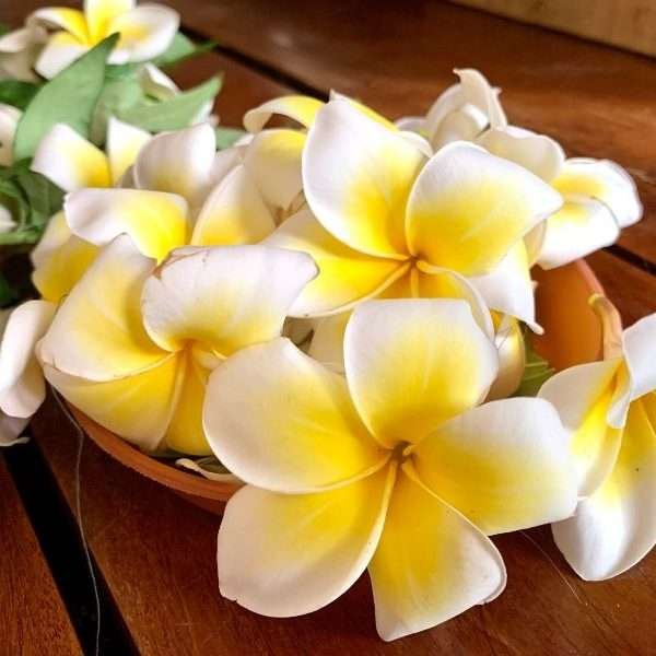 Hawaii Rózsa illat