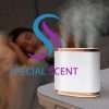 Special Scent  Image of Special Scent