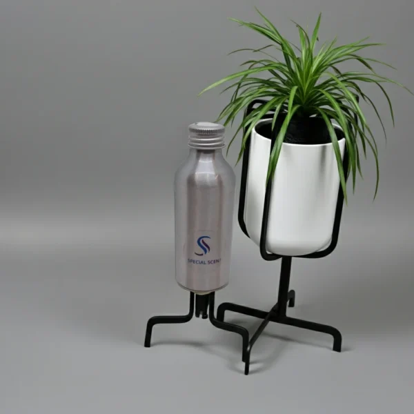 Special Scent  Image of Special Scent